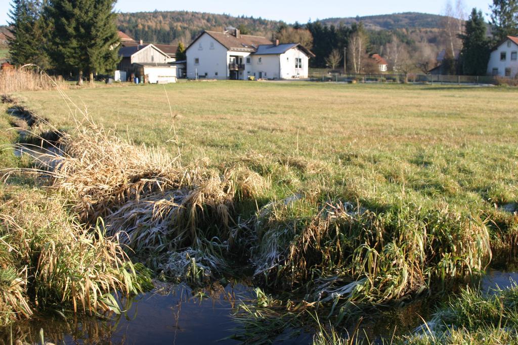 Haus Am Treffenbach Apartment